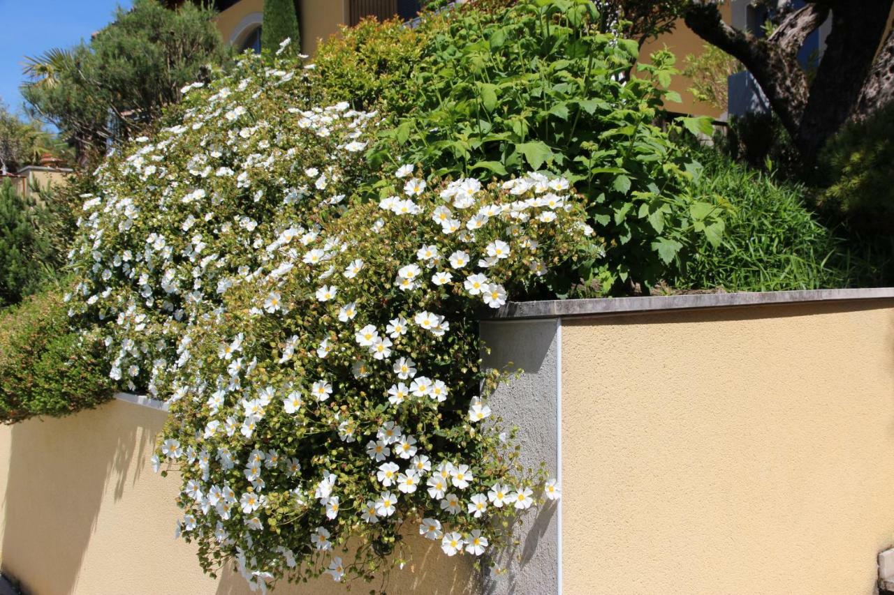 Le Vallon De Saint Andre Limonest Exterior photo